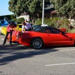 Cambria_0389 (November 01, 2013)